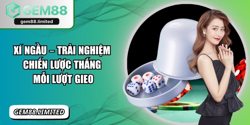 Xí Ngầu – Trải Nghiệm Chiến Lược Thắng Mỗi Lượt Gieo